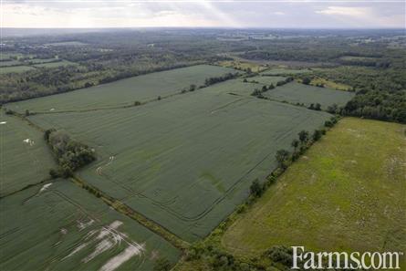 193 Acres/Glengarry for Sale, Alexandria, Ontario