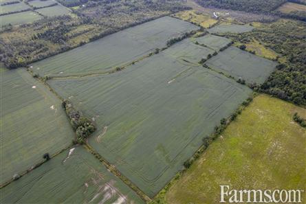 193 Acres/Glengarry for Sale, Alexandria, Ontario