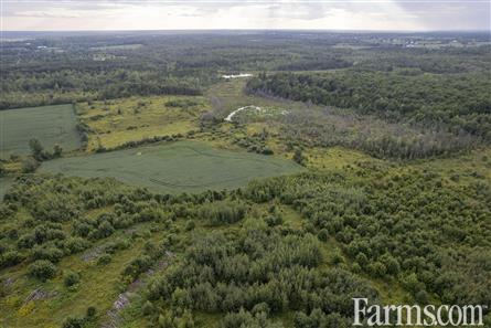 193 Acres/Glengarry for Sale, Alexandria, Ontario