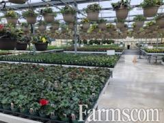 GROWERS RETAIL GARDEN CENTRE for Sale, Midland, Ontario