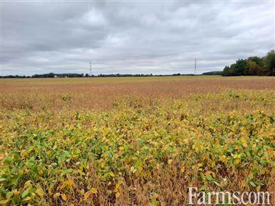 Are you looking to expand your farming operation? for Sale, Brigden, Ontario