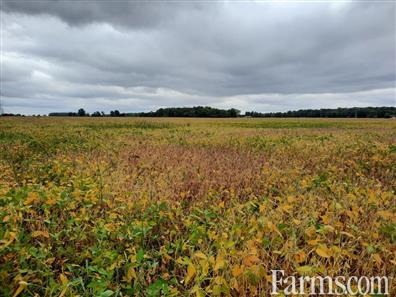 Are you looking to expand your farming operation? for Sale, Brigden, Ontario