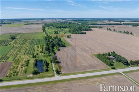 Lambton County Winery for Sale, Plympton-Wyoming, Ontario