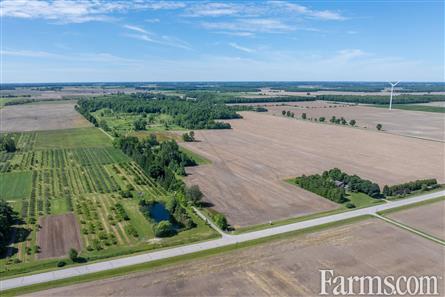 Lambton County Winery for Sale, Plympton-Wyoming, Ontario