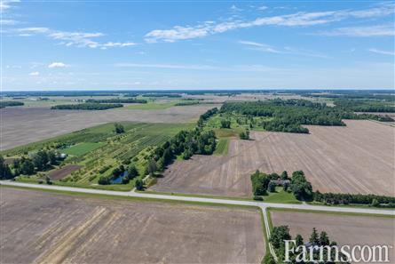 Lambton County Winery for Sale, Plympton-Wyoming, Ontario