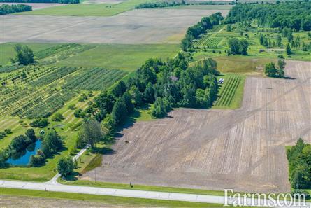 Lambton County Winery for Sale, Plympton-Wyoming, Ontario