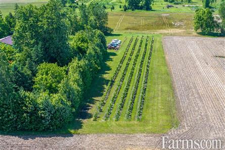 Lambton County Winery for Sale, Plympton-Wyoming, Ontario