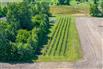 Lambton County Winery for Sale, Plympton-Wyoming, Ontario