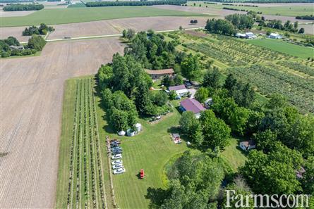 Lambton County Winery for Sale, Plympton-Wyoming, Ontario