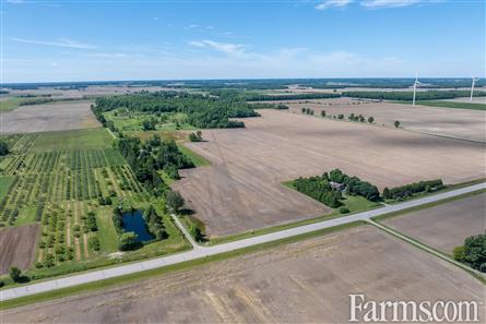 Lambton County Winery for Sale, Plympton-Wyoming, Ontario