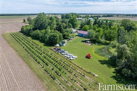 Lambton County Winery for Sale, Plympton-Wyoming, Ontario