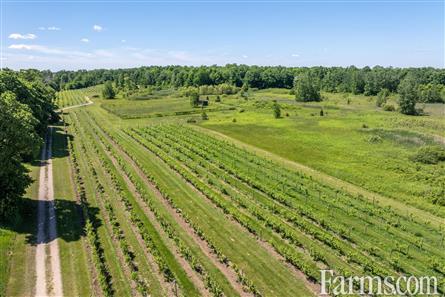 Lambton County Winery for Sale, Plympton-Wyoming, Ontario