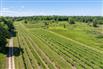 Lambton County Winery for Sale, Plympton-Wyoming, Ontario