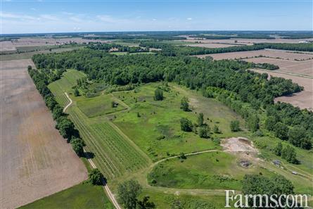 Lambton County Winery for Sale, Plympton-Wyoming, Ontario