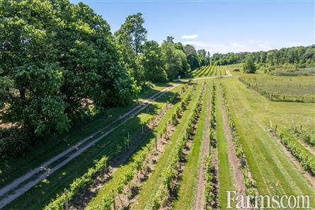 Lambton County Winery for Sale, Plympton-Wyoming, Ontario