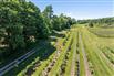 Lambton County Winery for Sale, Plympton-Wyoming, Ontario