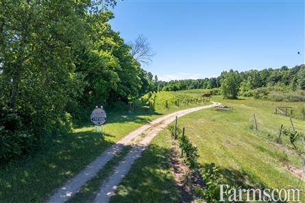 Lambton County Winery for Sale, Plympton-Wyoming, Ontario