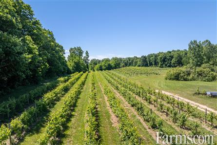 Lambton County Winery for Sale, Plympton-Wyoming, Ontario