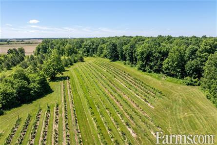 Lambton County Winery for Sale, Plympton-Wyoming, Ontario