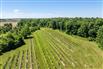 Lambton County Winery for Sale, Plympton-Wyoming, Ontario