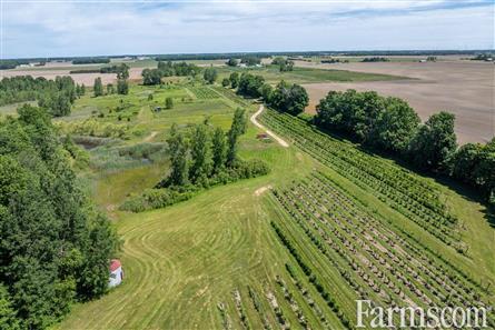 Lambton County Winery for Sale, Plympton-Wyoming, Ontario