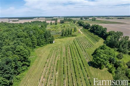 Lambton County Winery for Sale, Plympton-Wyoming, Ontario