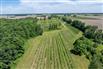 Lambton County Winery for Sale, Plympton-Wyoming, Ontario