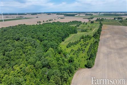 Lambton County Winery for Sale, Plympton-Wyoming, Ontario