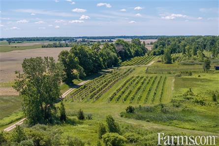 Lambton County Winery for Sale, Plympton-Wyoming, Ontario