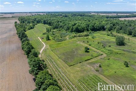 Lambton County Winery for Sale, Plympton-Wyoming, Ontario