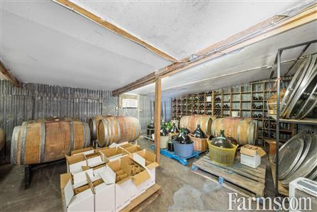 Lambton County Winery for Sale, Plympton-Wyoming, Ontario