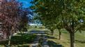 Immaculate Farm with 93 Workable + House and Barns for Sale, Elmwood, Ontario