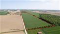 Cash Crop Farm with House for Sale, Oil Springs, Ontario