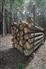 High Value Timber/Acreage for Sale, Arkona, Ontario