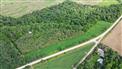 High Value Timber/Acreage for Sale, Arkona, Ontario