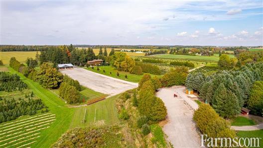 NEW PRICE - Tree Farm/Business for Sale, Ilderton, Ontario