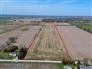 30 Acres, 29 Workable 2023 Wheat 95.8 Bushes/Acre for Sale, Amherstburg, Ontario
