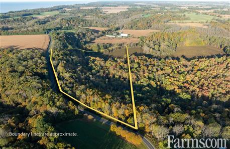 33 Acre Building Lot, 6 Workable, 27 Bush for Sale, Aylmer, Ontario