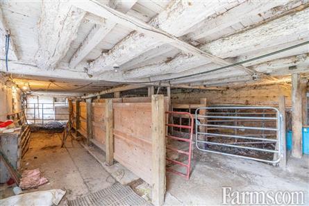 67 Acre Hobby Farm, 35 Fenced Pasture, 25 Forest for Sale, Thamesford, Ontario