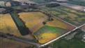 50 Acres, 38 Workable, Solar Income for Sale, Strathroy, Ontario