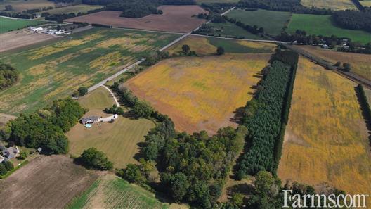 50 Acres, 38 Workable, Solar Income for Sale, Strathroy, Ontario