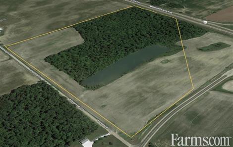 76 Acres, 35 Workable, 38 Bush, 4 Acre Pond for Sale, Dutton, Ontario