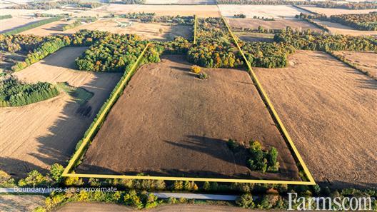 75 Acres, 35 Workable, 40 Bush Strathroy Ontario for Sale, Strathroy, Ontario