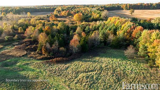 75 Acres, 35 Workable, 40 Bush Strathroy Ontario for Sale, Strathroy, Ontario