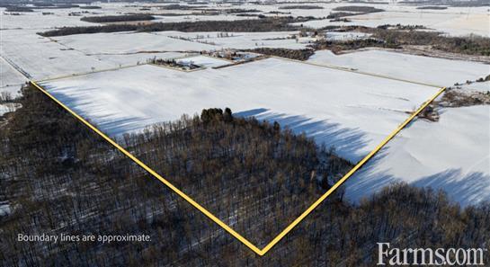 Farm - 93 Acres, with 78 Workable, Melbourne Ontario for Sale, Melbourne, Ontario