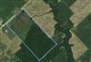 62.46 acres SOLD Blueberry farm for Sale