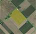 SOLD 358 acres cash crop for Sale, Merlin, Ontario