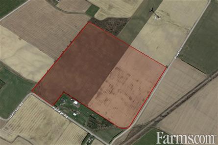 75 Acre Farm Blenheim Ontario for Sale, Blenheim, Ontario
