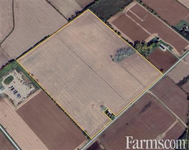 100 Acres, 97 Workable Systematically Tiled for Sale, Coatsworth (Romney), Ontario