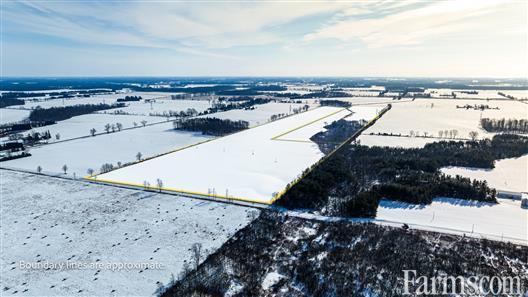 105 Acres, 90 Workable, Two Parcels for Sale, Rodney, Ontario